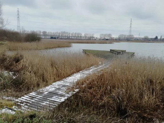 Plains of Zwijndrecht, Antwerp (Belgium)